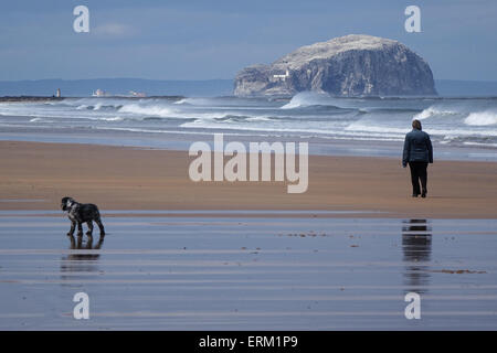 Woman and dog walking on beach, Basse Rock à distance Banque D'Images