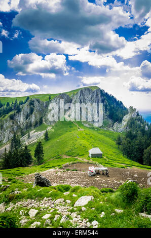 Paysage de montagne avec bergerie dans les Carpates, la Roumanie. Troupeau de moutons et goates sur une ferme dans les montagnes. Banque D'Images