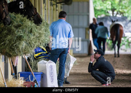 Elmont, New York, USA. 4 juin, 2015. 4 juin 2015 : Jorge Alvarez avant matin entraînement en prévision de la 147e exécution de la Belmont Stakes à Elmont, New York. Jon Durr/ESW/CSM/Alamy Live News Banque D'Images