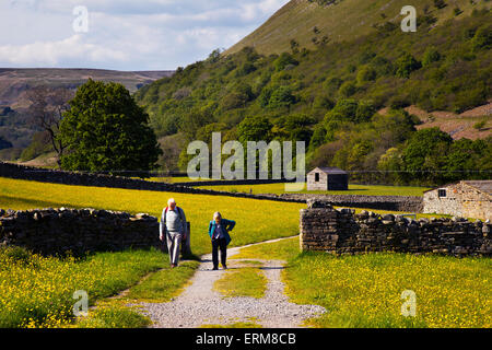 Man & Woman Walker dans les terres agricoles Swaledale, Yorkshire, UK 4 Juin, 2015. Les prairies de fauche fleuries, pistes et sentiers de la campagne Muker sont un peu d'un héros méconnu trésor national. Fleurs sauvages dans cette concentration est une rareté dans ce pays. Elles sont le résultat d'années de gestion de l'échelon local Dales agriculteurs qui couper les champs retour à la fin du mois de juin (en général), de fournir du fourrage pour leur bétail durant l'hiver, ces champs sont de plus en plus spectaculaire chaque année. Banque D'Images