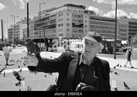 L'alimentation de l'homme et les pigeons qui marchent à la place Syntagma dans le centre-ville d'Athènes, Grèce. Banque D'Images