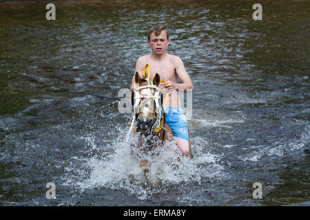 Appleby, Cumbria, Royaume-Uni. 04 Juin, 2015. Les chevaux étant lavé / montés dans la rivière Eden dans Appleby à l'Appleby Horse Fair 2015. Credit : Wayne HUTCHINSON/Alamy Live News Banque D'Images