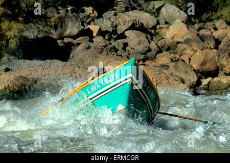 Grand Canyon Dory exécutant Lava Falls dans le Parc National du Grand Canyon en Arizona Banque D'Images