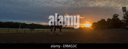 Elmont, New York, USA. 4 juin, 2015. Un cheval et cavalier se profilent au cours de l'entraînement du matin jeudi à Belmont Park . Credit : Bryan Smith/ZUMA/Alamy Fil Live News Banque D'Images