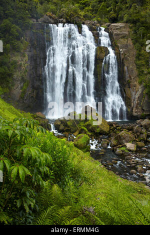 Marokopa Falls, District de Waitomo, Waikato, Nouvelle-Zélande, île du Nord Banque D'Images