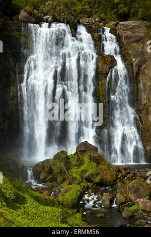 Marokopa Falls, District de Waitomo, Waikato, Nouvelle-Zélande, île du Nord Banque D'Images