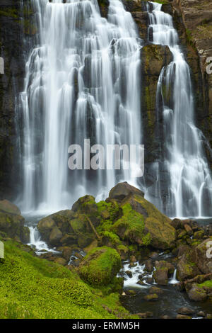 Marokopa Falls, District de Waitomo, Waikato, Nouvelle-Zélande, île du Nord Banque D'Images