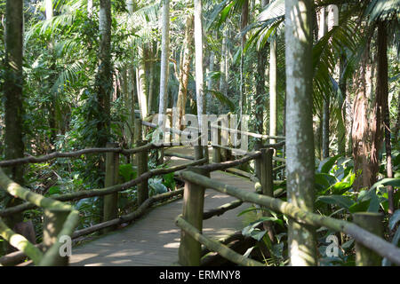 Sao Paulo, Brésil. 4 juin 2015. Sentier vide est vu en cette journée ensoleillée au jardin botanique (Jardim Botanico) de Sao Paulo pendant les vacances de Corpus Christi à Sao Paulo, Brésil. Crédit : Andre M. Chang/Alamy Live News Banque D'Images