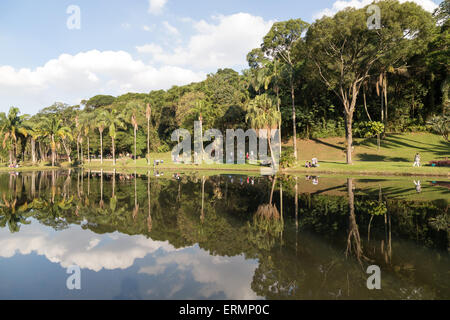 Sao Paulo, Brésil. 4 juin, 2015. Les visiteurs ont vu dans l'allée sur cette journée ensoleillée au Jardin botanique (Jardim Botanico) de Sao Paulo lors de Corpus Christi à Sao Paulo, Brésil. Credit : Andre M. Chang/ARDUOPRESS/Alamy Live News Banque D'Images