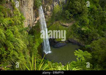 Bridal Veil Falls, près de Raglan, Waikato, Nouvelle-Zélande, île du Nord Banque D'Images