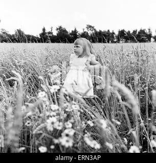 Frères et sœurs, Helen (3) et Paul Burrows (9) de Waterloo, Londres, profiter de leur première journée à la campagne dans une ferme de Chipperfield, Herts, 7 septembre 1956. Banque D'Images