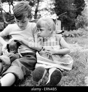 Frères et sœurs, Helen (3) et Paul Burrows (9) de Waterloo, Londres, profiter de leur première journée à la campagne dans une ferme de Chipperfield, Herts, 7 septembre 1956. Banque D'Images