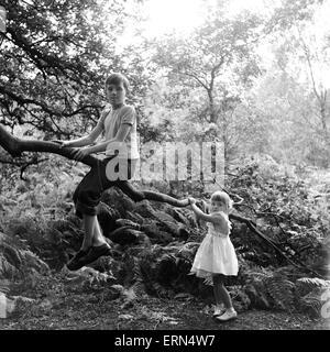 Frères et sœurs, Helen (3) et Paul Burrows (9) de Waterloo, Londres, profiter de leur première journée à la campagne dans une ferme de Chipperfield, Herts, 7 septembre 1956. Banque D'Images