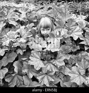 Frères et sœurs, Helen (3) et Paul Burrows (9) de Waterloo, Londres, profiter de leur première journée à la campagne dans une ferme de Chipperfield, Herts, 7 septembre 1956. Banque D'Images