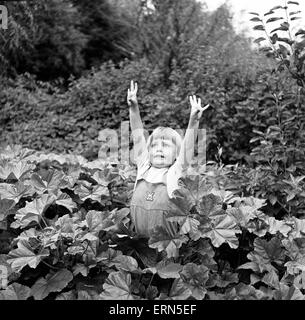 Frères et sœurs, Helen (3) et Paul Burrows (9) de Waterloo, Londres, profiter de leur première journée à la campagne dans une ferme de Chipperfield, Herts, 7 septembre 1956. Banque D'Images