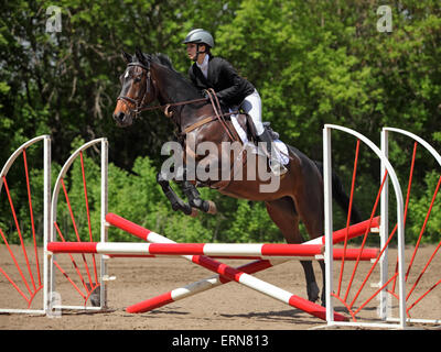 Femelle jeune cavalier et son cheval participer à des concours de sauts Banque D'Images