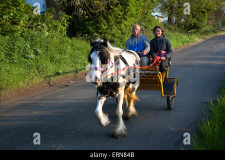 Appleby, Cumbria, Royaume-Uni. 5 juin, 2015. Tôt le matin, balade en calèche cheval à l'arrêt Appleby Horse Fair de Cumbria. La foire est un rassemblement annuel de Tsiganes et Voyageurs qui a lieu sur la première semaine de juin, et n'a eu lieu depuis le règne de Jacques II, qui ont accordé une charte royale en 1685 permettant à un cheval juste 'près de la rivière Eden', et est le plus grand rassemblement du genre en Europe. Banque D'Images