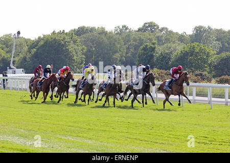 Epsom Downs Surrey UK. 5 juin, 2015. C'est Mesdames jour 2015 à Epsom, avec le point culminant de la journée étant l'Investec Oaks (Pouliches' Groupe 1, Classe 1), exécutez sur une distance de 1m 4f 10y. La favorite 5/2 No 8 (orange et bleu) Legatissimo a été battu en deuxième lieu par la photo finish winner, n° 9 (rouge et jaune) et 20/1 de l'extérieur droit, monté par des C O'Donoghue et formés par un P O'Brien. Ici les chevaux sont au sommet de la colline en direction de la 6 furlong marqueur. Credit : Julia Gavin UK/Alamy Live News Banque D'Images