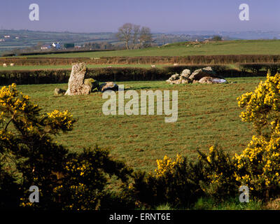 Deux groupes d'effondrement chambre funéraire des pierres précieuses d'Hendrefor sépulture néolithique, Anglesey, avec pierre portail in situ lors de l'E (L). Mound enlevé par l'agriculture. Banque D'Images