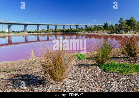 Lac Rose, Westgate Park, Port Melbourne, Melbourne, Victoria, Australie Banque D'Images