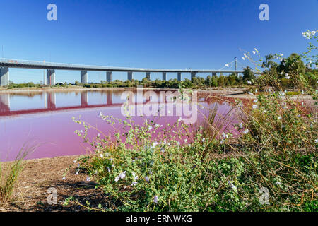 Lac Rose, Westgate Park, Port Melbourne, Melbourne, Victoria, Australie Banque D'Images