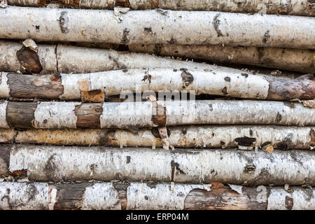 Arrière-plan de l'ancien de grumes de bouleau Banque D'Images