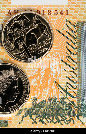 Pièces de un dollar australien sur un billet de cent dollars. La monnaie australienne. Dollar australien. Banque D'Images