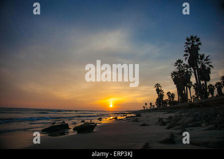 Coucher de soleil à côté d'une rangée de palmiers sur la côte sur l'océan Pacifique. Banque D'Images