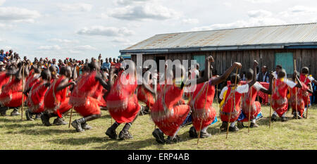 La danse traditionnelle de l'Afrique Kenya Maasai, peuple Olesere Banque D'Images