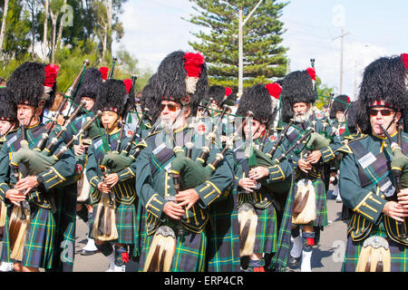 Cornemuse écossaise de parades à l'ANZAC day parade à North Sydney, Australie Banque D'Images