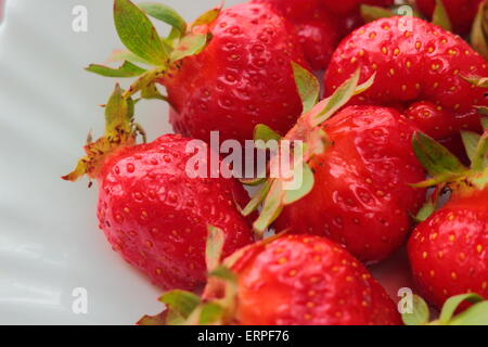 Sur la plaque est déchiré les fraises mûres rouges frais Banque D'Images