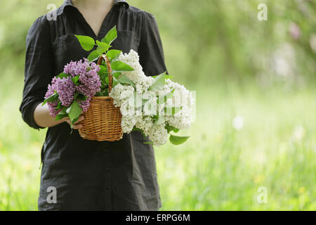 Fille de l'adolescence féminine tenir panier plein de fleurs lilas Banque D'Images