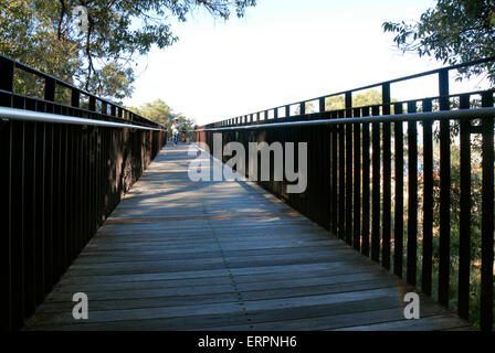 Pont de Kings Park, Perth, Australie occidentale Banque D'Images