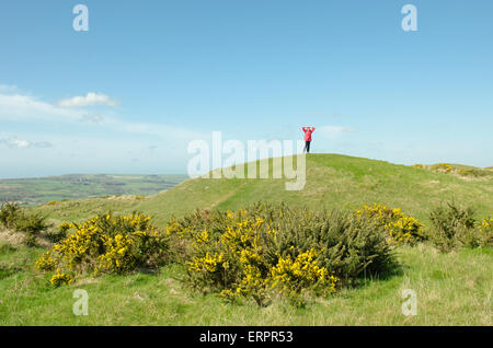 L'un des castrats ou tumuli sur neuf collines de Purbeck, Barrow, Dorset, UK. Burial Mounds. Avril. Banque D'Images