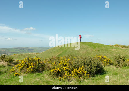 Walker femme debout sur l'un des castrats ou tumuli sur neuf collines de Purbeck, Barrow, Dorset, UK. Burial Mounds. Avril. Banque D'Images