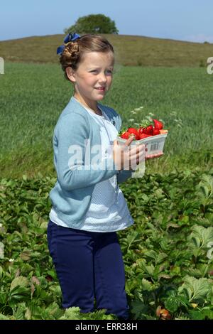 L'île de Samsoe, au Danemark. 6 juin, 2015. Princesse Isabella danois est la cueillette des fraises à l'île de Samsoe, Danemark, 6 juin 2015. C'était la première fonction officielle d'Isabelle. Pre/Albert Nieboer/Pays-Bas OUT - PAS DE SERVICE DE FIL - Crédit : dpa/Alamy Live News Banque D'Images