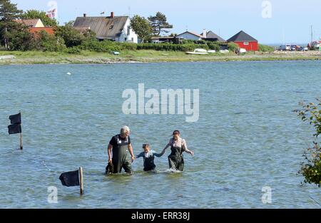 L'île de Samsoe, au Danemark. 6 juin, 2015. La princesse Mary du Danemark et sa fille la Princesse Isabella sont la capture de crevettes à l'île de Samsoe, Danemark, 6 juin 2015. C'était la première fonction officielle d'Isabelle. Pre/Albert Nieboer/Pays-Bas OUT - PAS DE SERVICE DE FIL - Crédit : dpa/Alamy Live News Banque D'Images