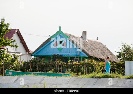 Une maison traditionnelle avec un rood de reed dans le village Mila 23 dans le Delta du Danube en Roumanie Banque D'Images