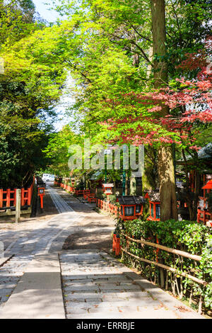 Sentier ensoleillé avec clôture vermilion et petites lanternes en bois qui se promènent dans des arbres verts au sanctuaire de Yasaka à Kyoto au printemps. Banque D'Images