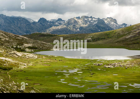 Vue sur Lac De Nino en Corse avec un ruisseau serpentant à travers une plaine verte Banque D'Images