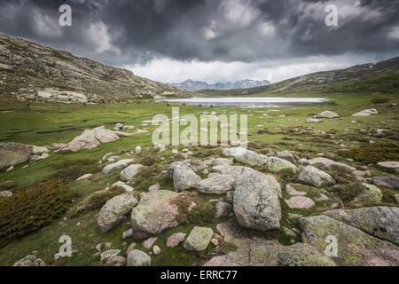 Vue sur Lac De Nino en Corse avec un ruisseau serpentant à travers une plaine verte Banque D'Images