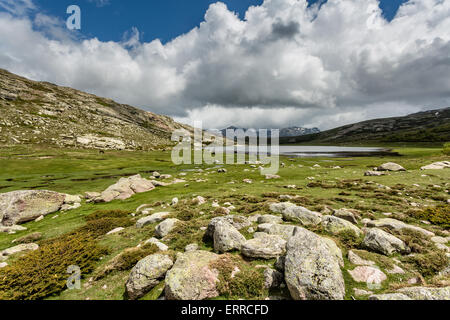 Vue sur Lac De Nino en Corse avec un ruisseau serpentant à travers une plaine verte Banque D'Images