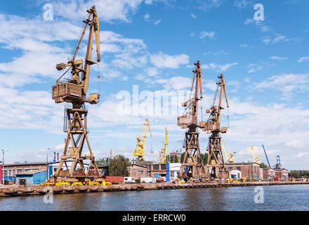 Grues du chantier de réparation à Gdansk, Pologne Banque D'Images