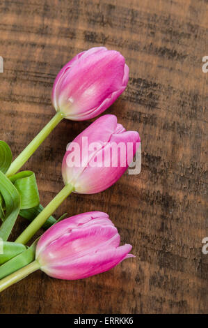 De Lot de tulipes roses sur une table en bois Banque D'Images