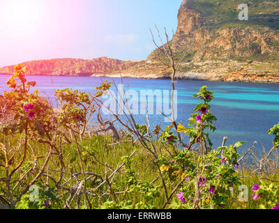 Fleurs de printemps sur les falaises de la Mer Méditerranée Banque D'Images