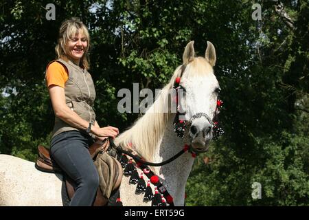 Cheval Arabe Banque D'Images