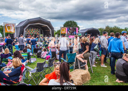 Festival de musique 2015 Alresford, New Alresford, Hampshire, Angleterre, Royaume-Uni. Banque D'Images