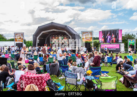 Festival de musique 2015 Alresford, New Alresford, Hampshire, Angleterre, Royaume-Uni. Banque D'Images