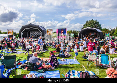 Festival de musique 2015 Alresford, New Alresford, Hampshire, Angleterre, Royaume-Uni. Banque D'Images