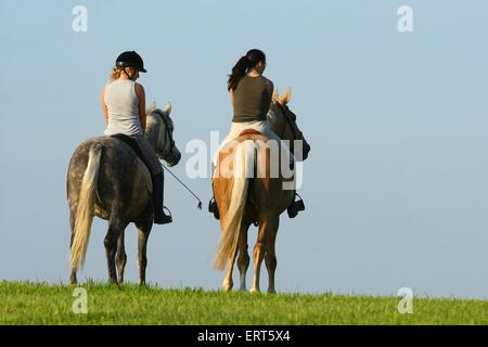 Circ. Banque D'Images